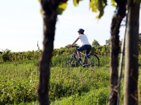 Cycling in the Traisental-Danube region, &copy; Mostviertel