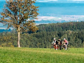 Plambachecker height, &copy; Josef Bollwein