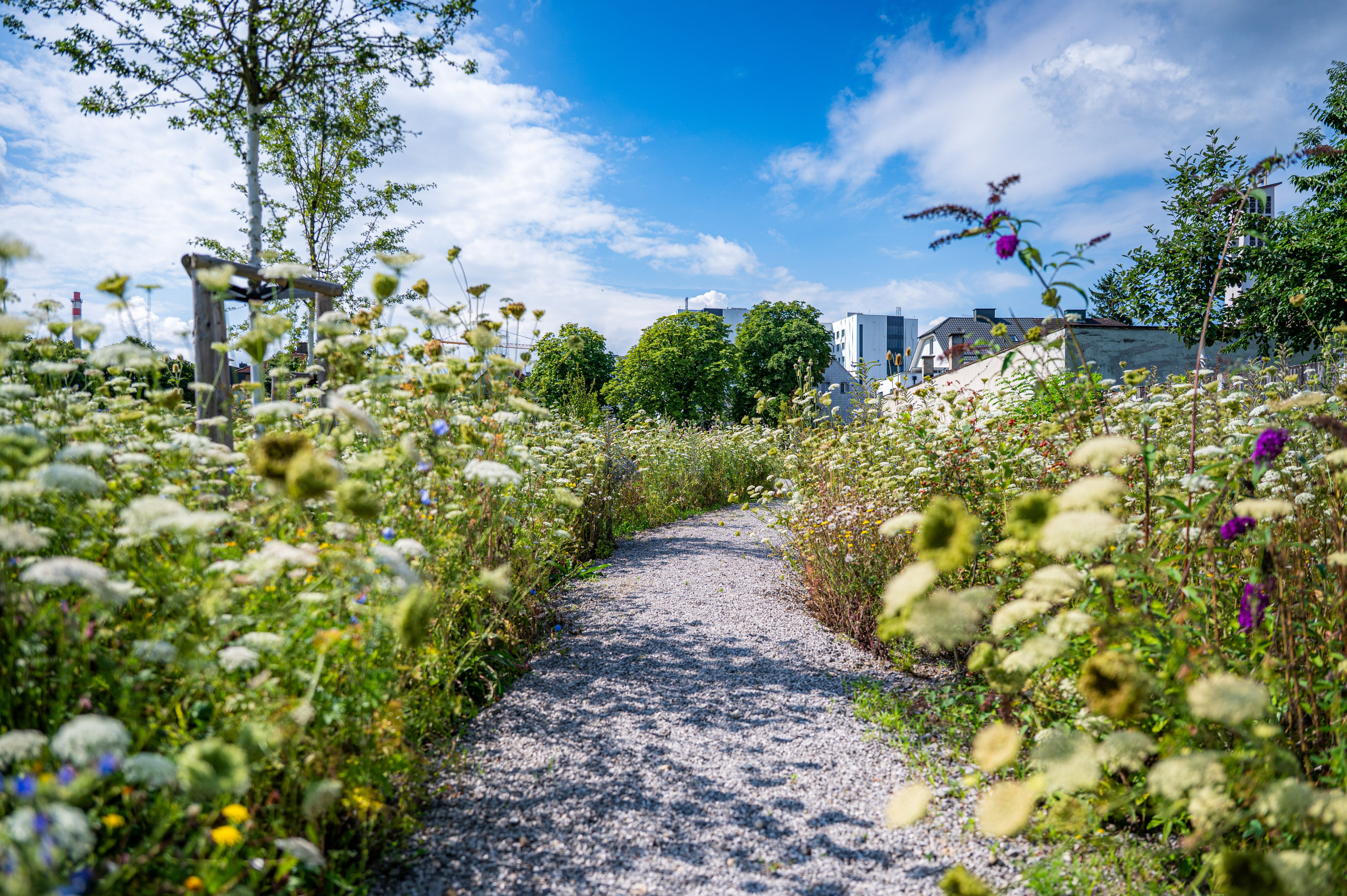 Natur erleben in der Stadt 