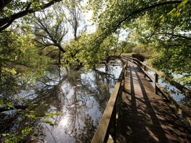 Naturlehrpfad Feldm&uuml;hle, &copy; Werner J&auml;ger