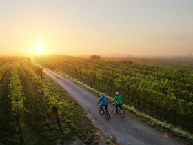 Cycling in the Traisental wine region, &copy; schwarz-koenig.at
