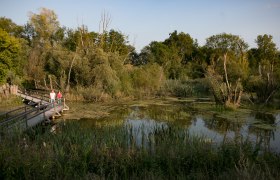 Tour in the nature of the city, © Schwarz König 