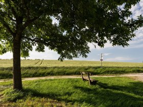 Needle brook, &copy; Werner J&auml;ger