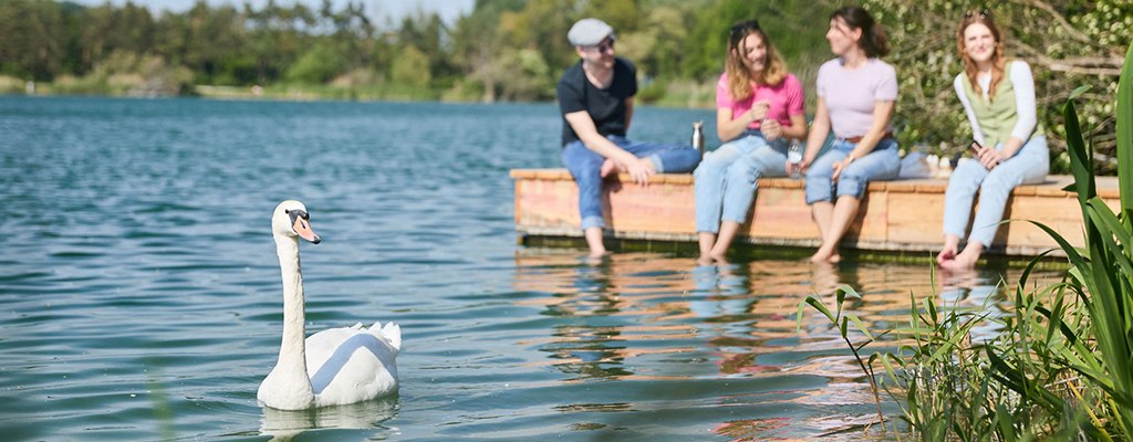 Viehofner Seen , &copy; Rupert Pessl