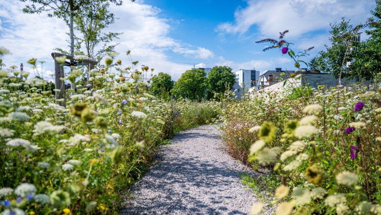 Natur erleben in der Stadt, &copy; Christian Kr&uuml;ckel
