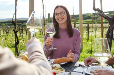 Traisental wine-growing region