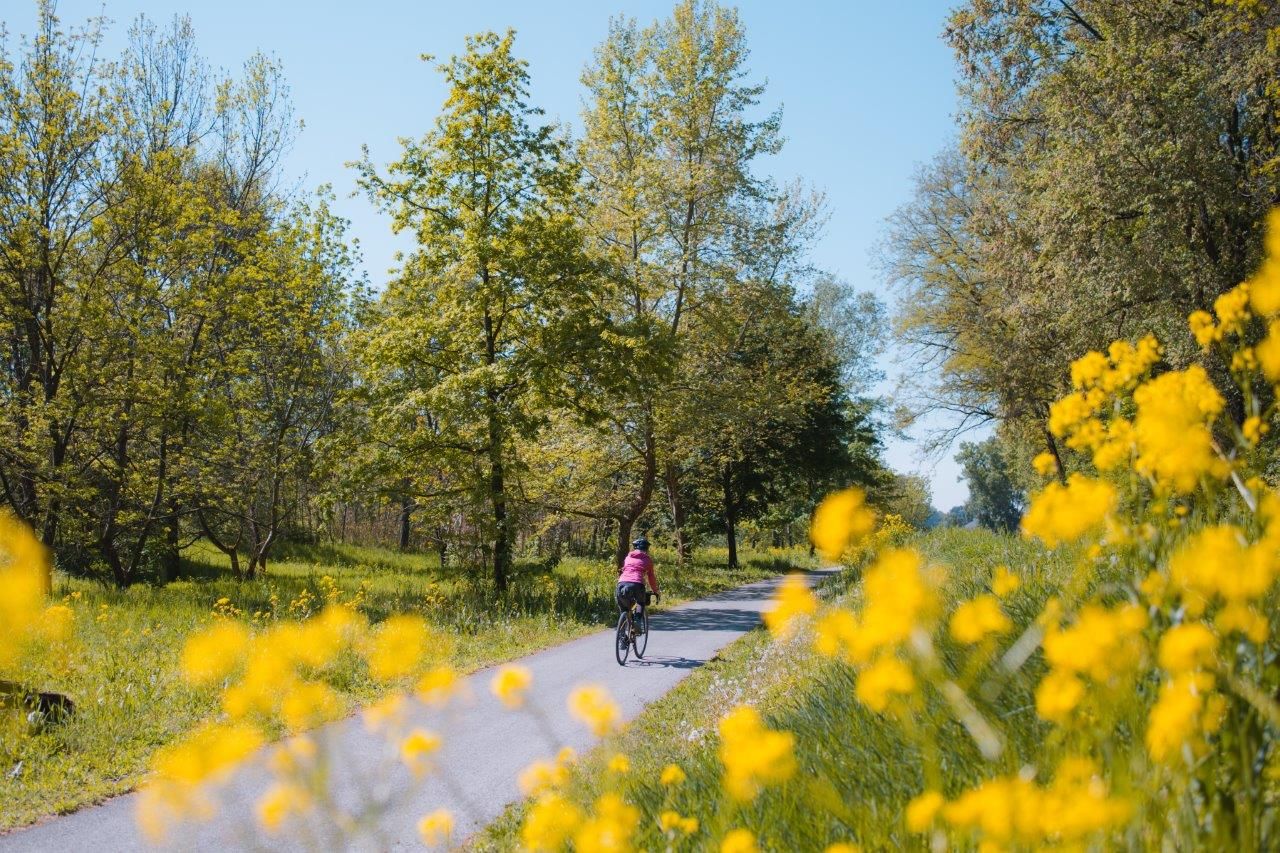 Entlang des Traisental-Radweges