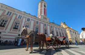 Kutschenfahrten in der Landeshauptstadt, © Weiländer 
