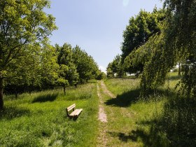 Kollerberg, &copy; Werner J&auml;ger