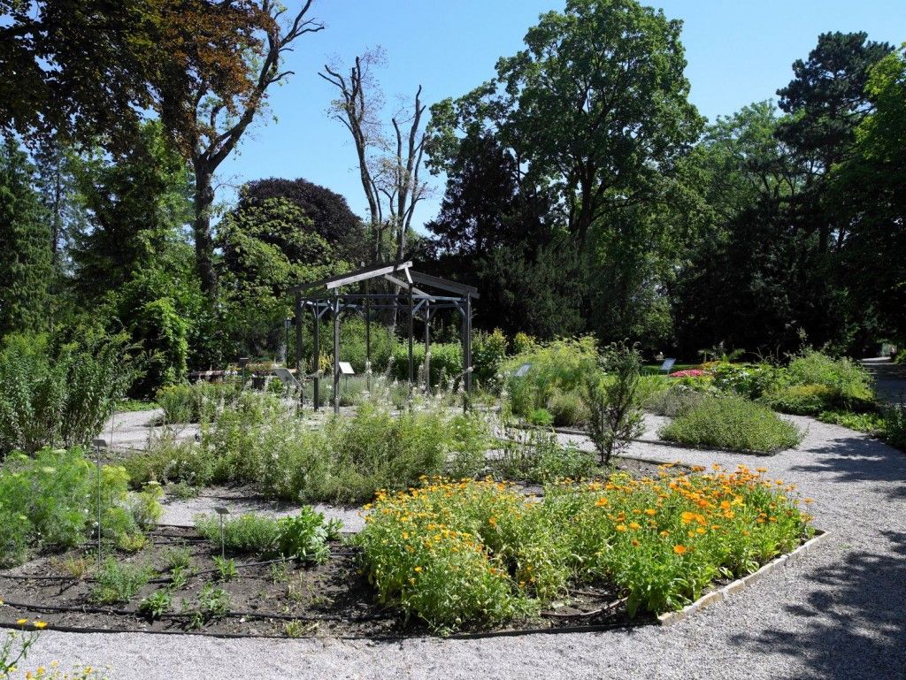 Sparkassenpark St.Pölten