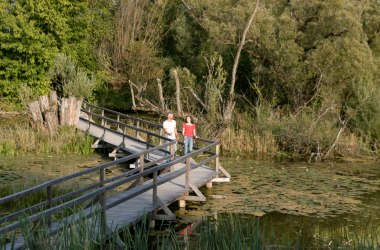 Pilgrimage &amp; Hiking, &copy; Schwarz K&ouml;nig 