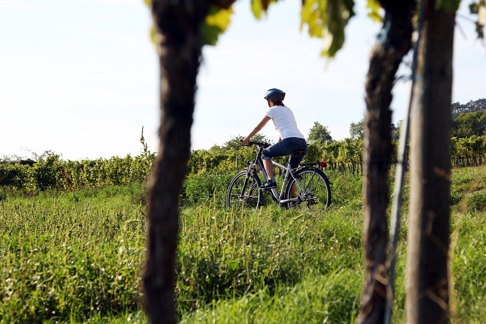 Radfahren in der Region Traisental-Donau