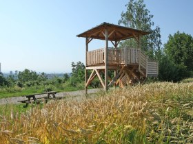 Panorama trail Krembserberg, &copy; Werner J&auml;ger
