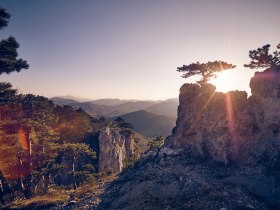 Fr&uuml;hling im Wienerwald, &copy; Andreas Hofer