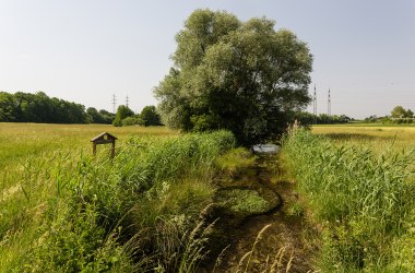 Naturdenkmal Siebenbründl, © Werner Jäger