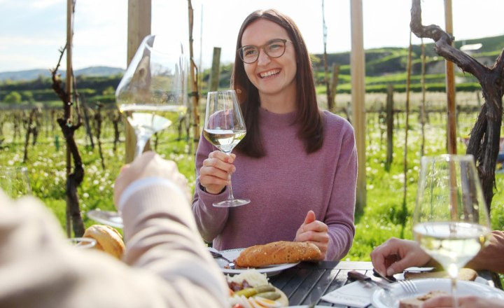 Traisental wine-growing region