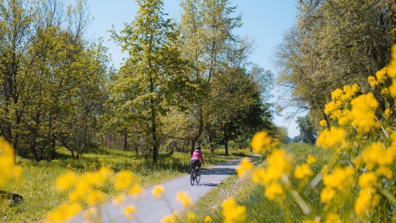 FConsolati_Traisentalradweg_29_HQ, &copy; Franziska Consolati