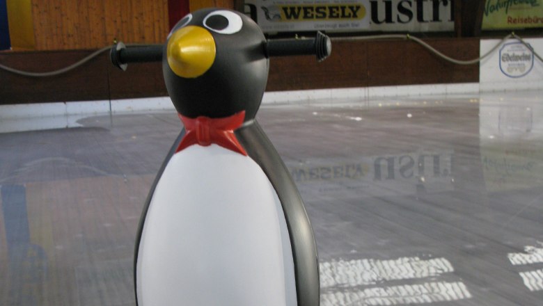 Children learn to ice skate quickly with the penguin, &copy; Naturfreunde St. P&ouml;lten