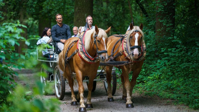 Carriage ride City Park St. Pölten, © Josef Bollwein